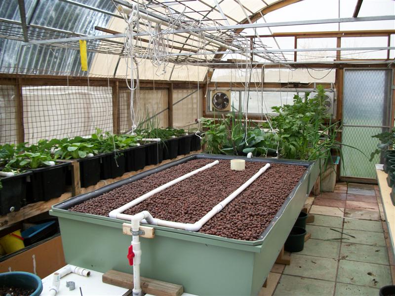 New Grow Bed 002 (Medium).jpg