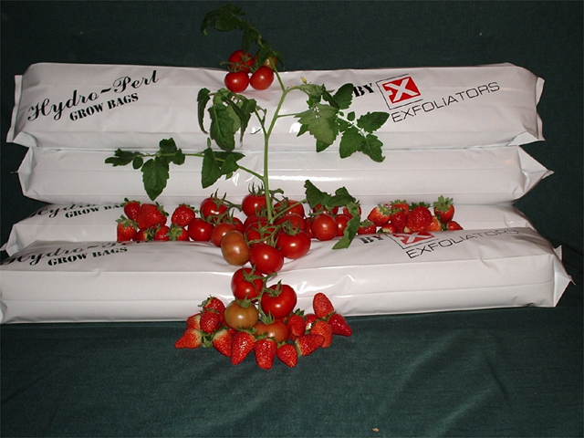 Hydro-Perl Grow Bags.jpg