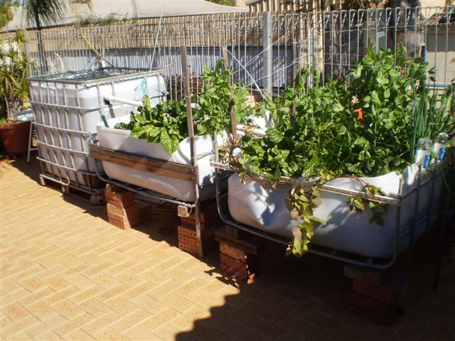 System Aug10 (Small).JPG