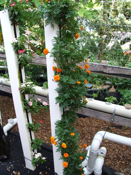 Flower tower (Medium).JPG