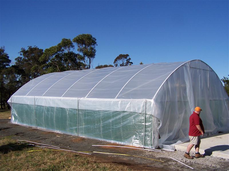 100_4971 (Custom).JPG