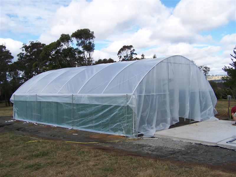 100_4972 (Custom).JPG