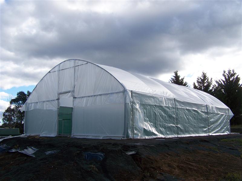 100_4976 (Custom).JPG