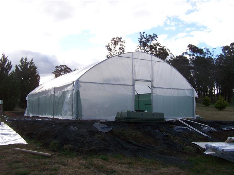 100_4977 (Custom).JPG