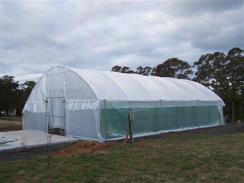 100_4978 (Custom).JPG