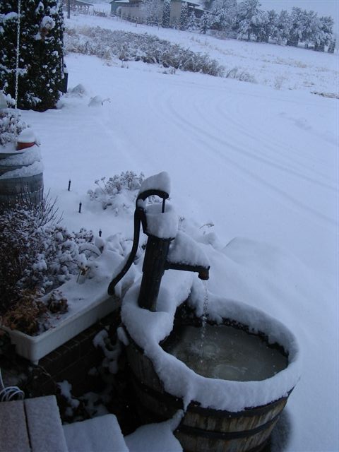 Snowfall Jan 2007 005.jpg