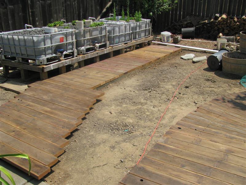 IMG_4383 (Medium).JPG