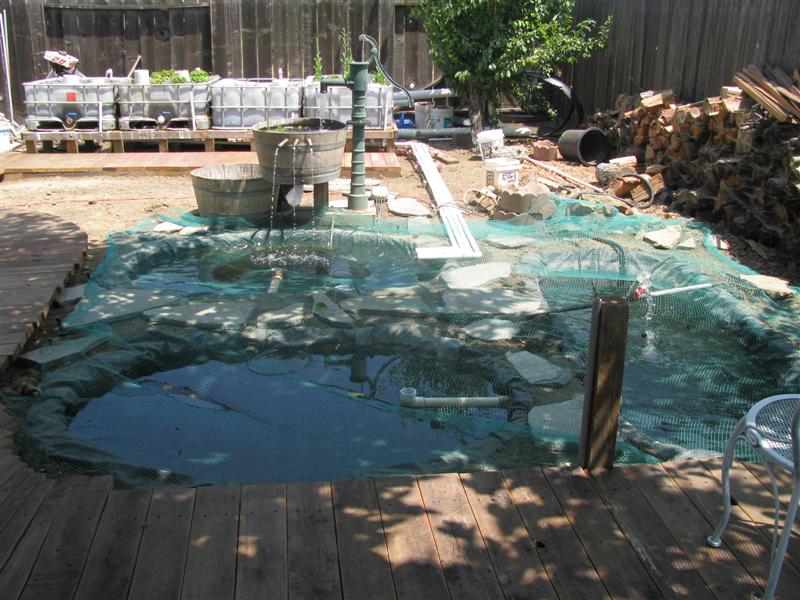 IMG_4385 (Medium).JPG