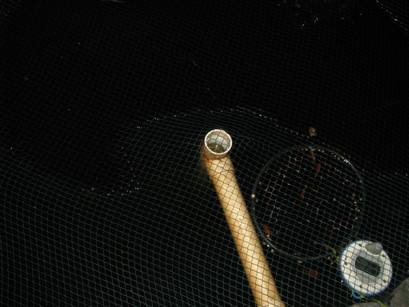 IMG_4403 (Medium).JPG