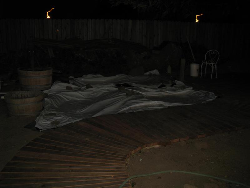 IMG_4405 (Medium).JPG