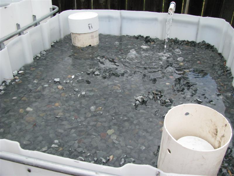 IMG_3758 (Medium).JPG