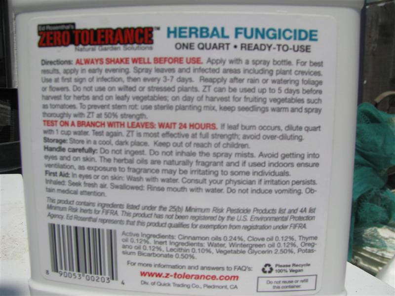 IMG_4390 (Medium).JPG