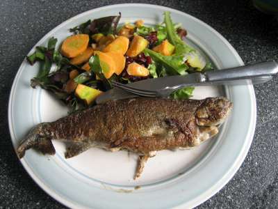 Pic 13th Aug 2010 001-400.jpg