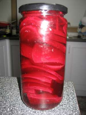 Pic 13th Aug 2010 006-400.jpg