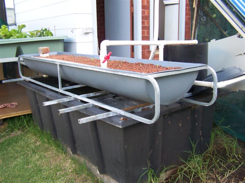 100_2191 (Medium).JPG