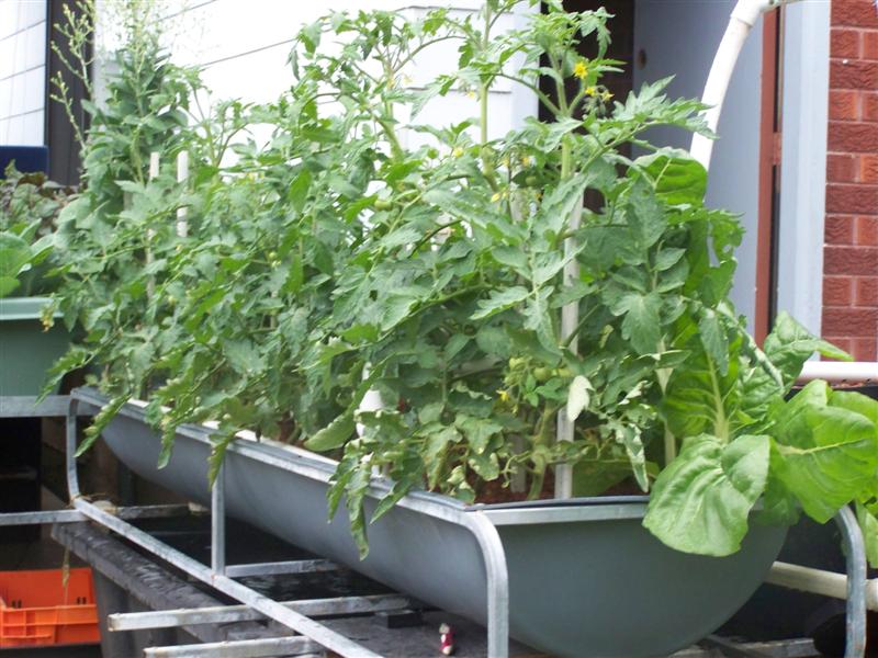 100_2602 (Medium).JPG