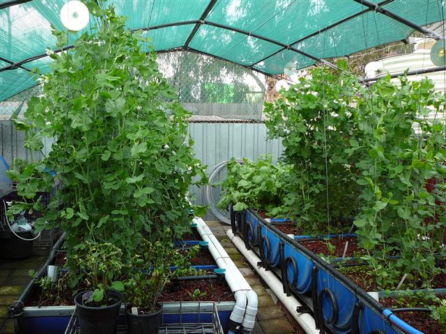 P1030166 (Small).JPG