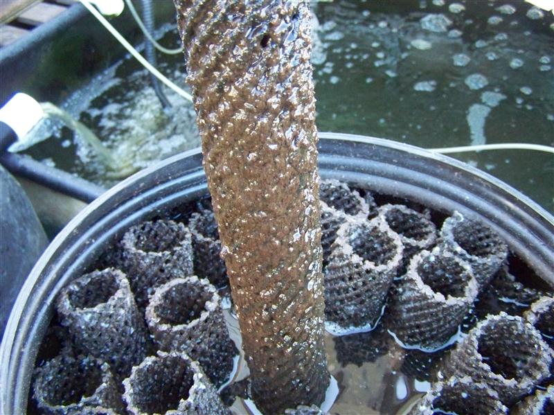 100_5008 (Custom).JPG