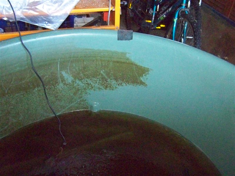 100_5015 (Custom).JPG