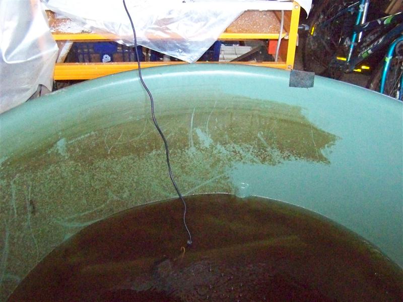 100_5016 (Custom).JPG