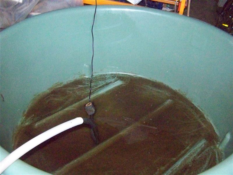 100_5032 (Custom).JPG