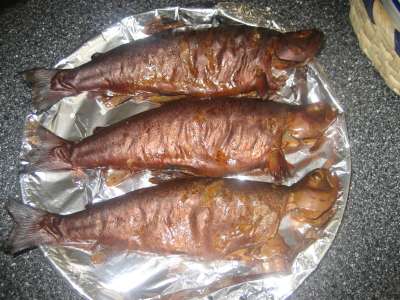 Pic22nd Aug 2010 052-400.jpg