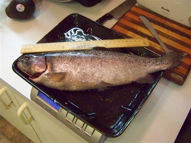 100_5081 (Custom).JPG