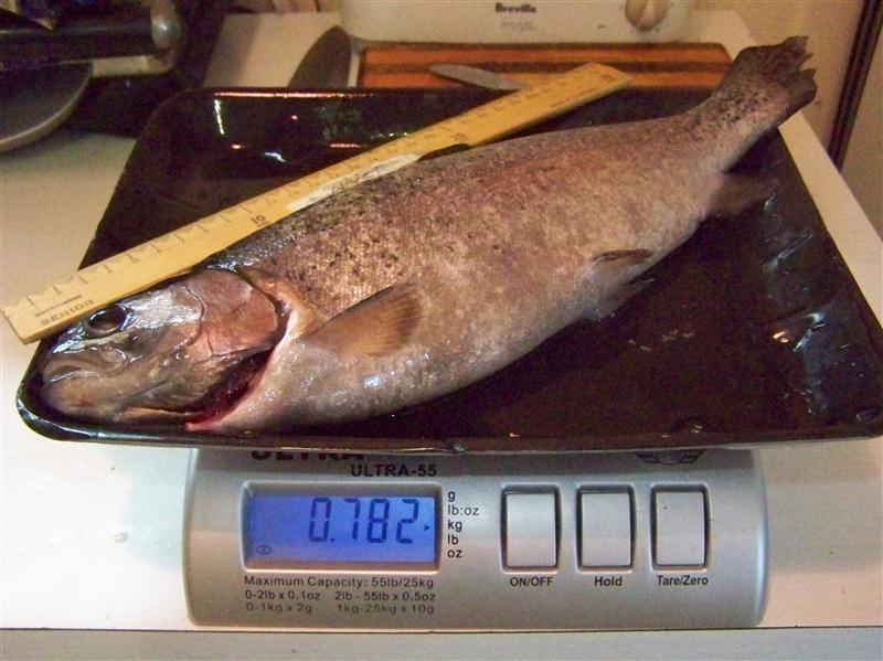 100_5083 (Custom).JPG