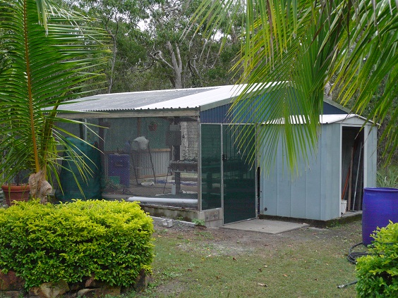 aquaponics now 2010.JPG