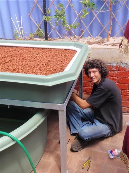 P2080318 (Medium) (Medium).JPG