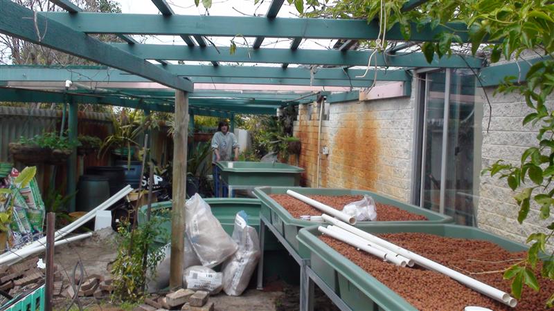 DSC00040 (Medium).JPG