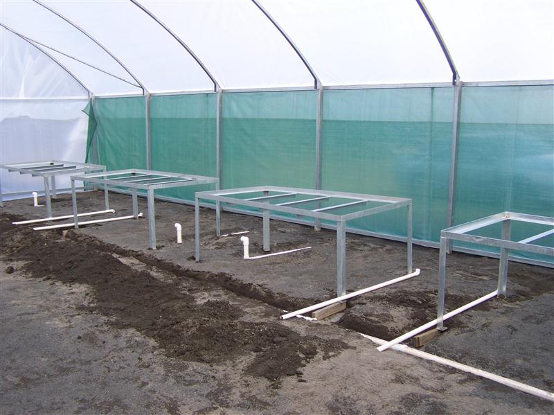 100_5037 (Custom).JPG