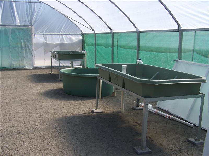 100_5084 (Custom).JPG