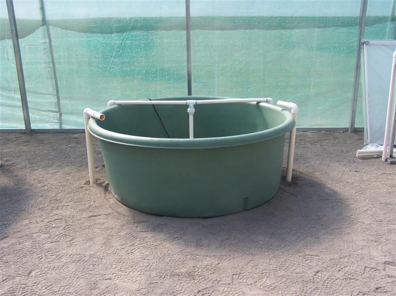 100_5086 (Custom).JPG