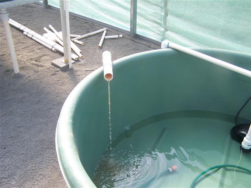 100_5089 (Custom).JPG