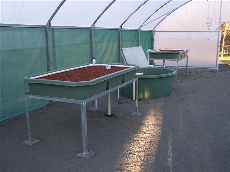 100_5093 (Custom).JPG