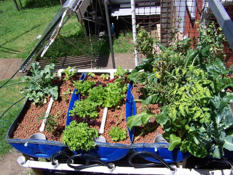 100_3791 (Medium).JPG