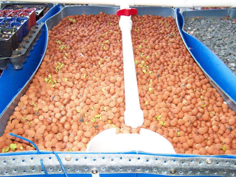 100_0945 (Medium).JPG