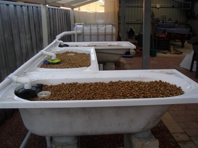 Gravel in beds (Small).JPG