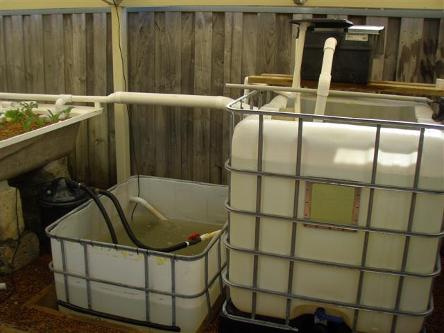 Extra Filters (Small).JPG