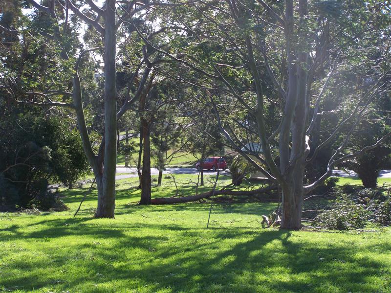 100_5156 (Custom).JPG