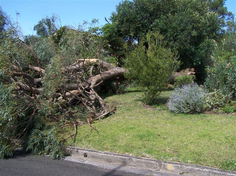 100_5167 (Custom).JPG