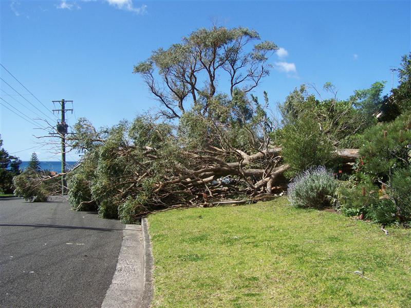 100_5174 (Custom).JPG