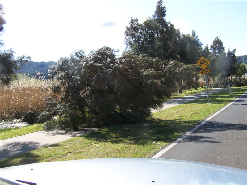 100_5177 (Custom).JPG