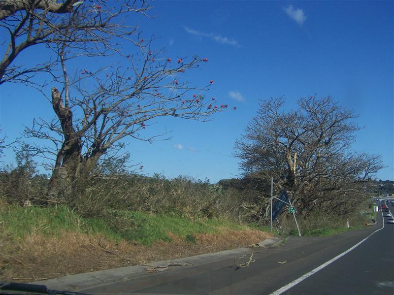 100_5181 (Custom).JPG