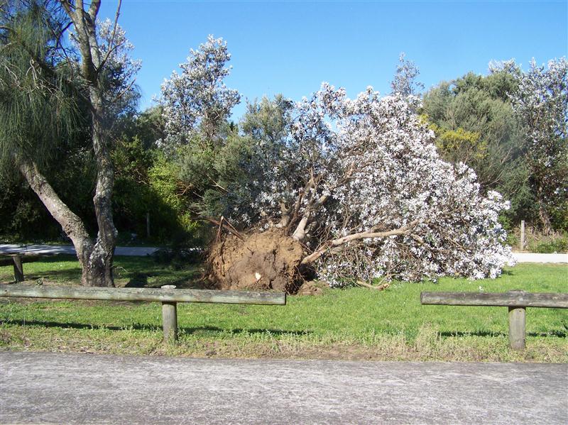 100_5186 (Custom).JPG