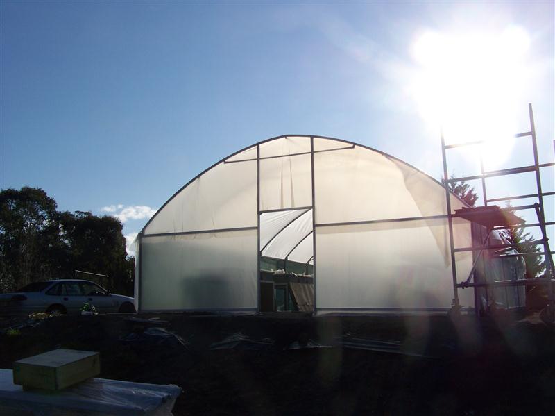 100_5204 (Custom).JPG