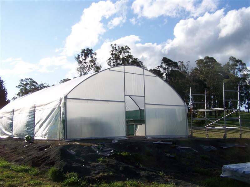 100_5202 (Custom).JPG