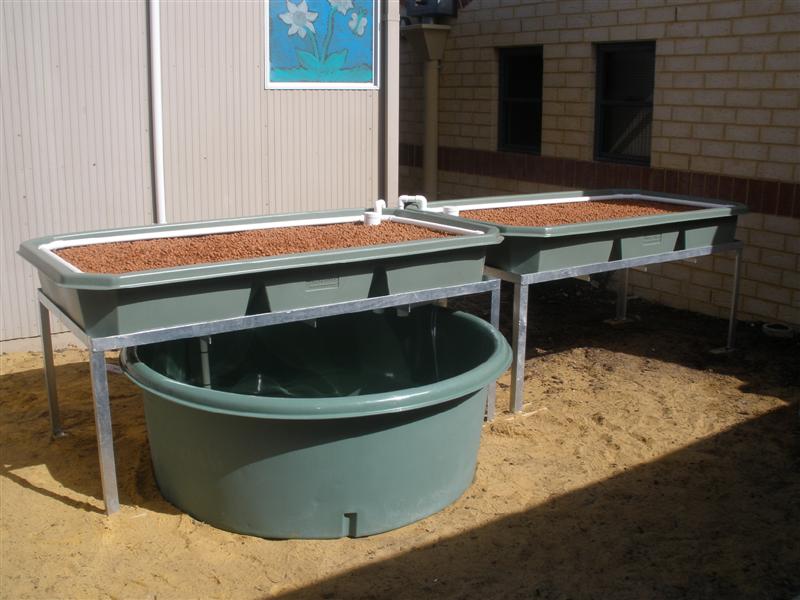 P8250236 (Medium).JPG