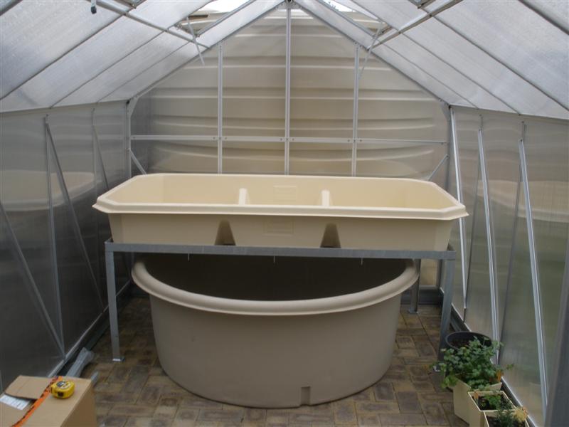 P8310329 (Medium).JPG